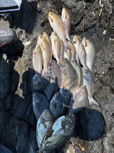糸島半島
