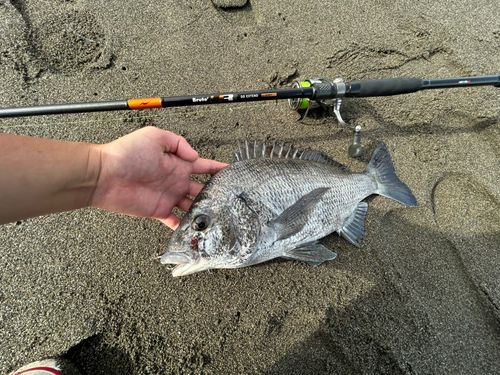 茅ヶ崎海岸
