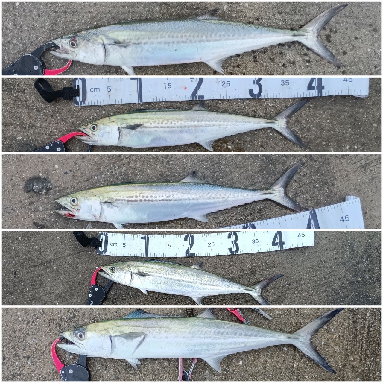 SHIMANO 18エクスセンスジェノス S100MH/Rの最安値・インプレ