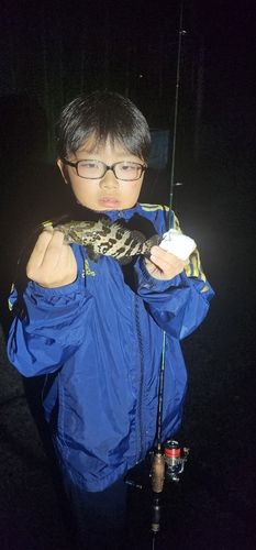 尾鷲漁港