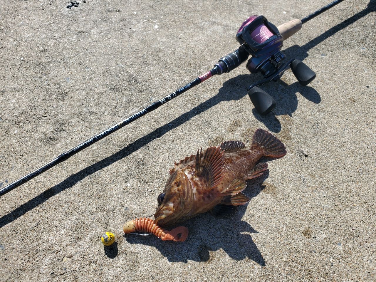 AbuGarcia ソルティーステージ PRM バーチカルコンタクトの最安値