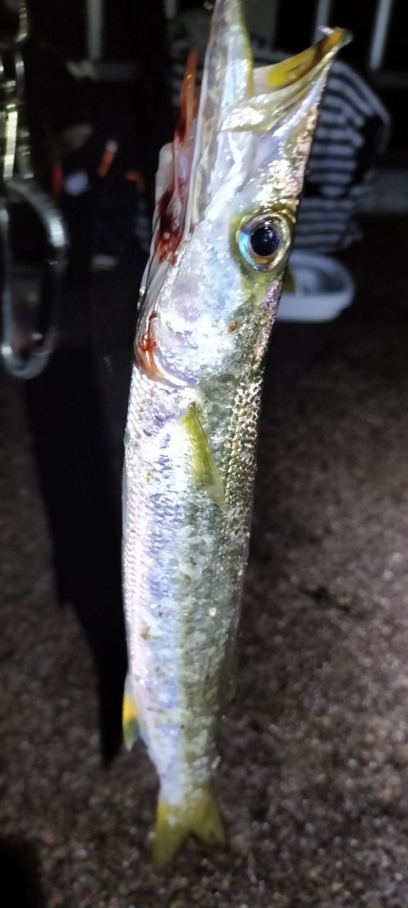 SHIMANO 20ルナミス S100Mの最安値・インプレ・釣果 | 本音の