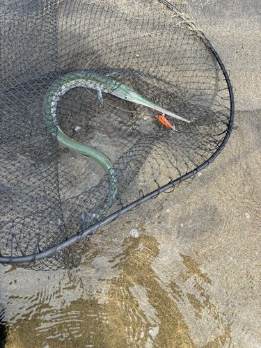 阿武隈川河口
