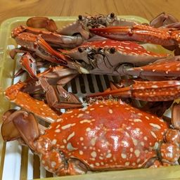ワタリガニ