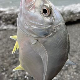 メッキ