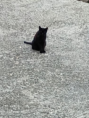 忠岡木材コンビナート