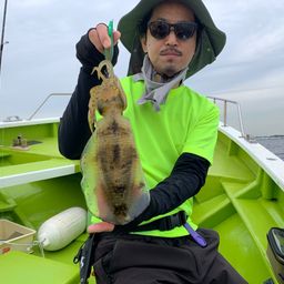 アオリイカ