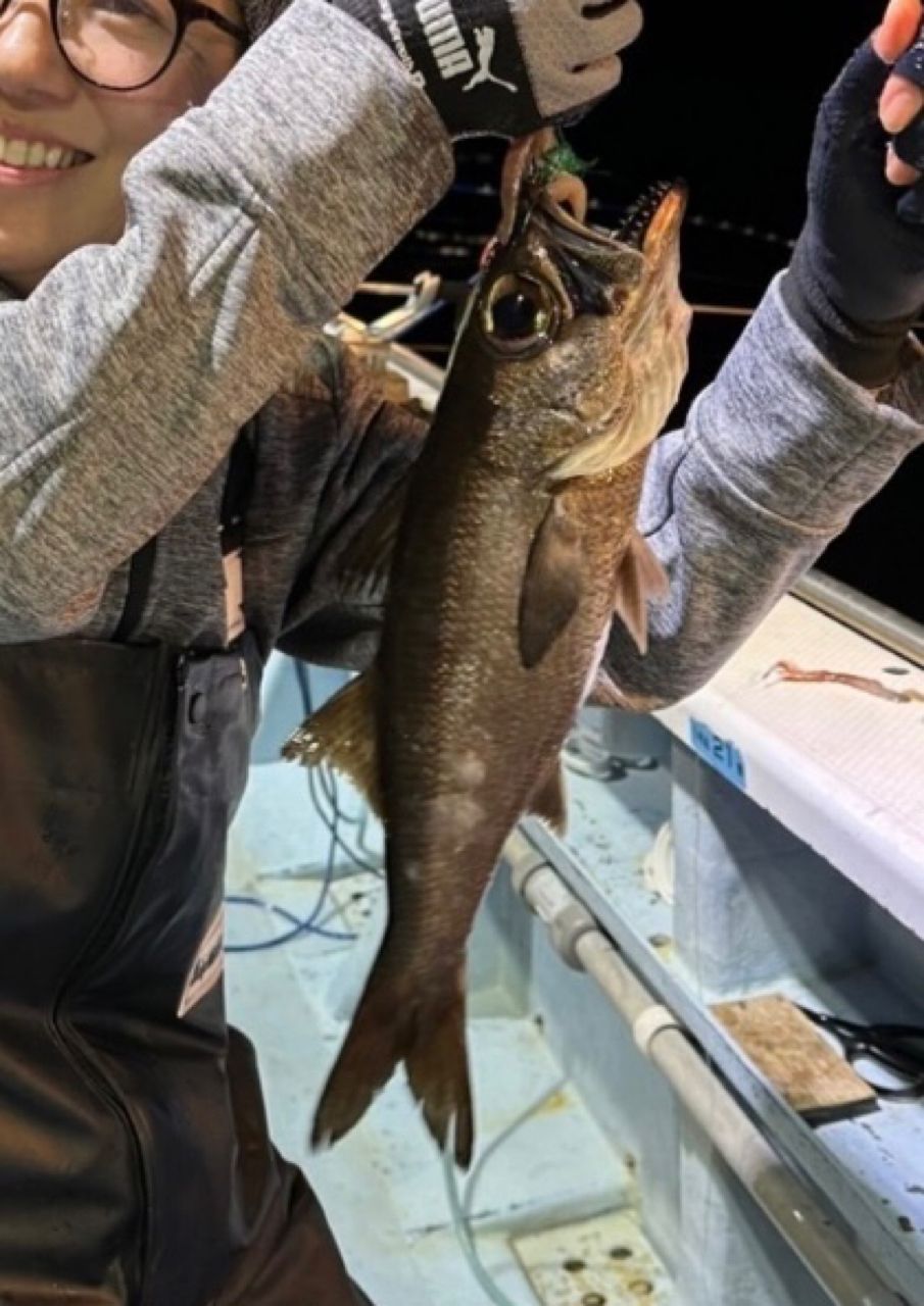 もふもふあきさんの釣果 3枚目の画像