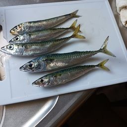 サバ