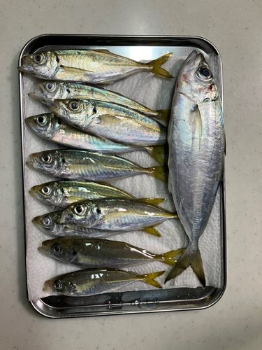 大船渡湾