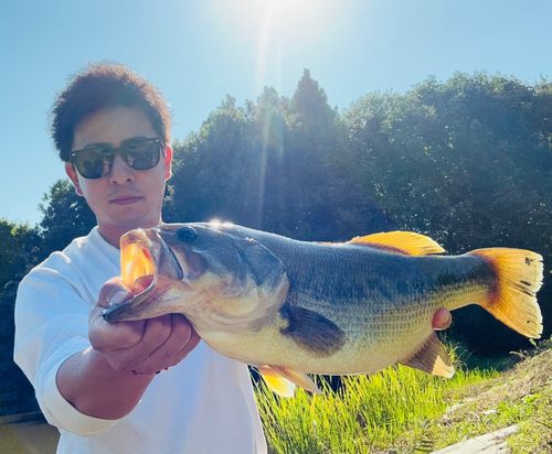 釣果