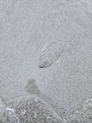 大倉戸海岸