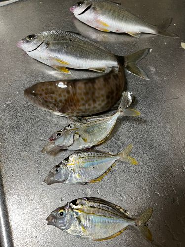 清水港