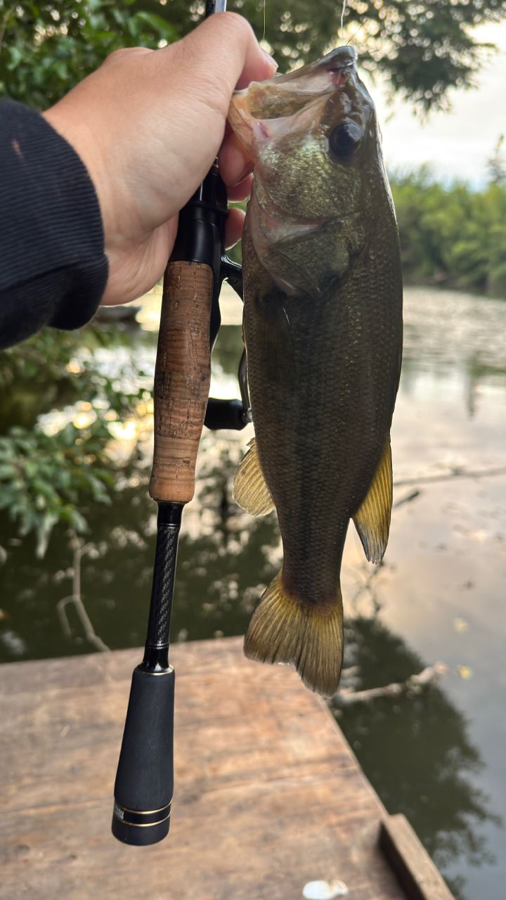 AbuGarcia バスビート III BBS-632L IIIの最安値・インプレ・釣果