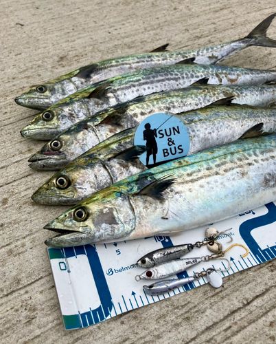 南港魚つり公園