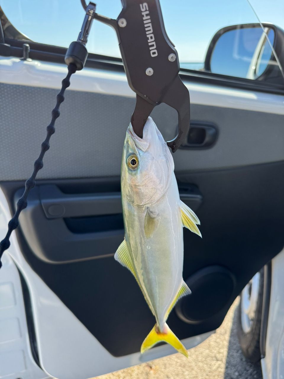 SHIMANO 20ソアレ TT アジング S64UL-Sの最安値・インプレ・釣果