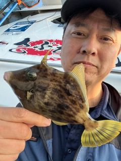 カワハギの釣果