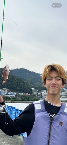ネンブツダイの釣果