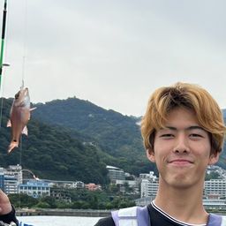 ネンブツダイ