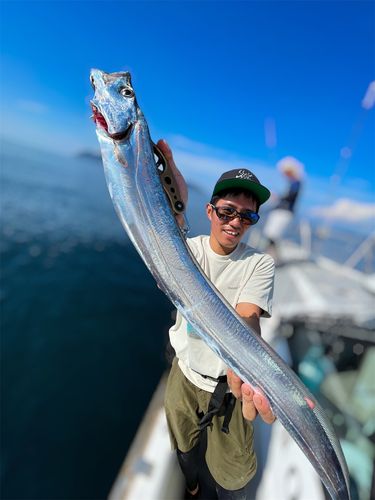 タチウオの釣果