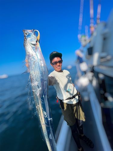 タチウオの釣果
