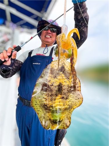 タチウオの釣果