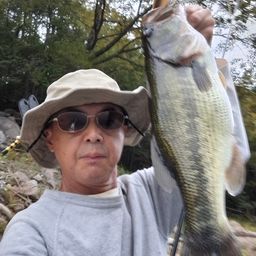 ブラックバス