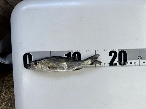 表浜名湖