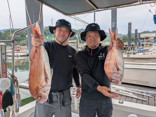 タイの釣果