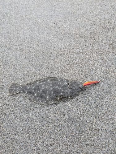 舞阪サーフ