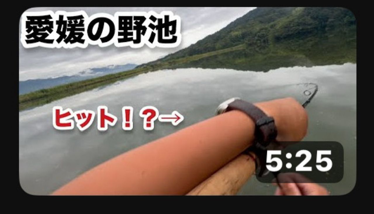 ブラックバス