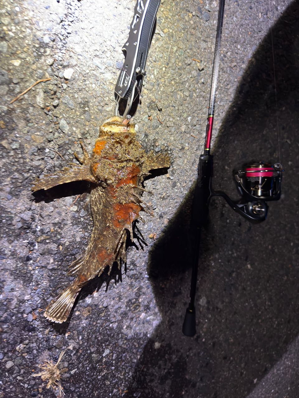 23月下美人 AIR 68L-T・W ダイワ(Daiwa) 月下美人 AIR AGS AJING 68L-T・Y 05802543