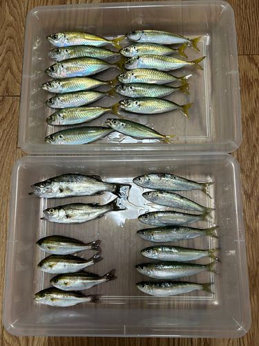 新居海釣公園