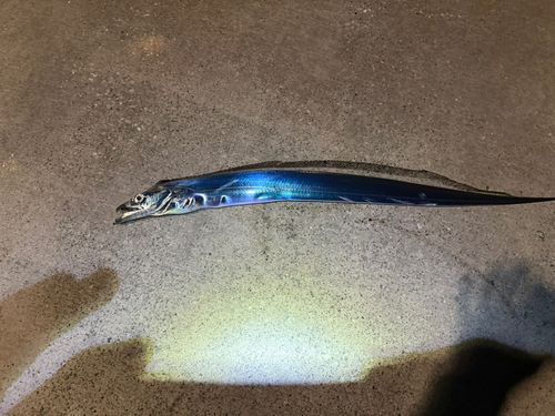 金沢水際線緑地（福浦岸壁）