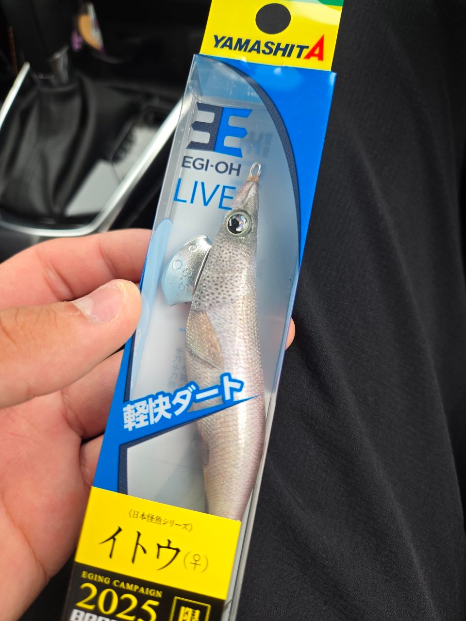 アオリイカ