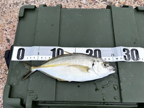 鹿島港魚釣園
