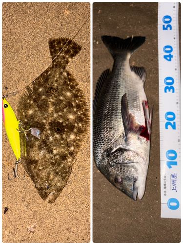 ソゲの釣果