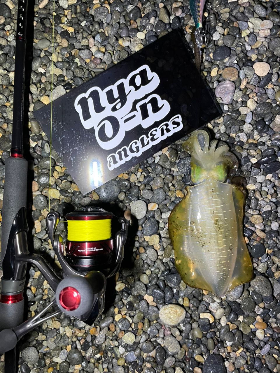 SHIMANO 18セフィア BB S86MLの最安値・インプレ・釣果 | 本音の