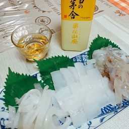 アオリイカ