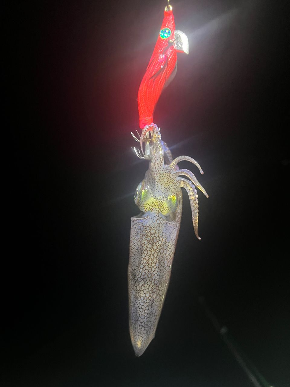 SHIMANO 18セフィア BB S86Lの最安値・インプレ・釣果 | 本音の口コミ