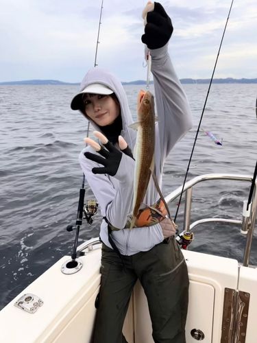 エソの釣果