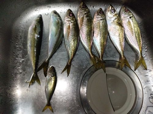 大阪湾