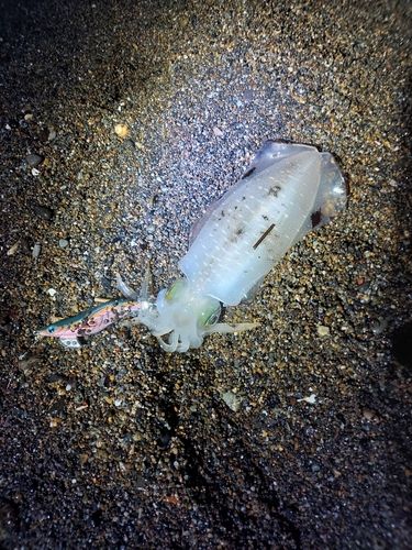 柿崎中央海水浴場