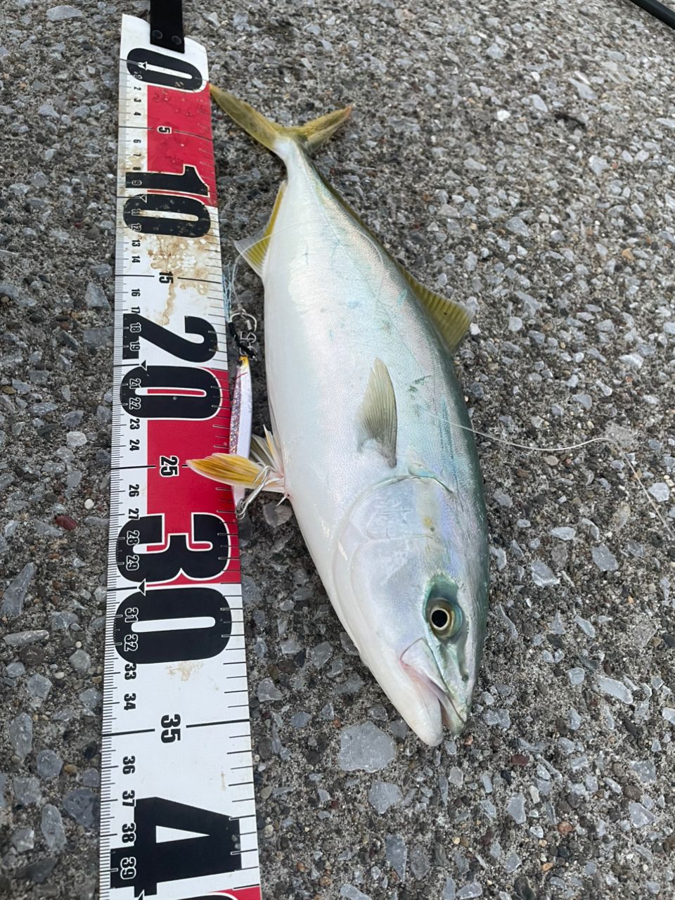 DAIWA 21ラブラックス AGS 110MH-3の最安値・インプレ・釣果