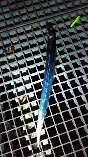 豊浜漁港