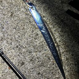 タチウオ