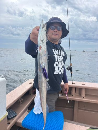 タチウオの釣果