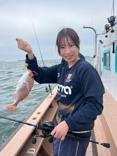 渥美湾