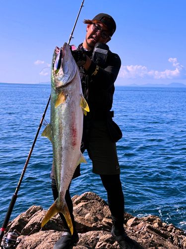 ヒラマサの釣果