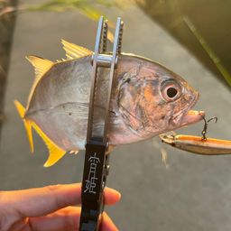 メッキ